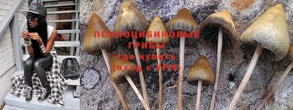 PSILOCYBIN Абдулино